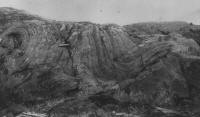 Slump folding and faulting in the St. John's Formation near Cripple Cove.